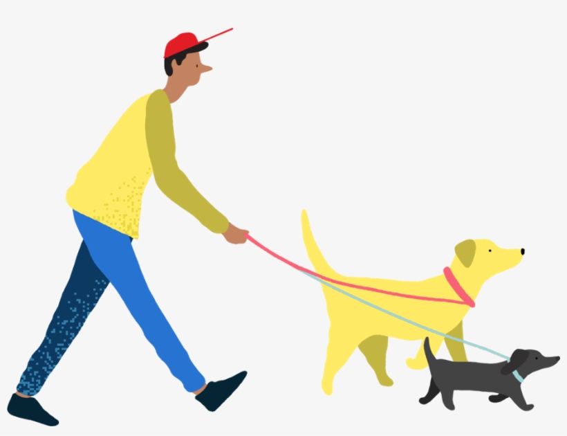 Dog Catches Something, transparent png download