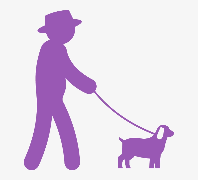 Image Representing A Senior Man Walking A Dog - Dog Walking, transparent png download