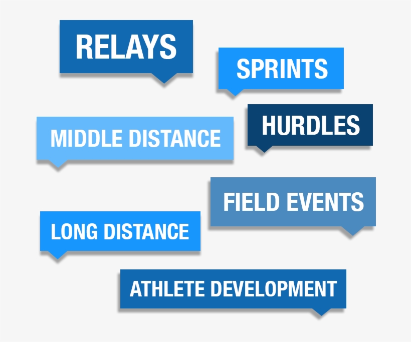 You'll Walk Away From Our Track And Field Coaching - Online Advertising, transparent png download
