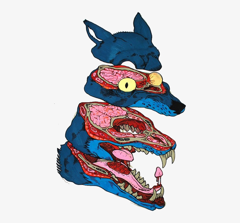 Art Wolf Transparent Tattoo Art - Transparent Art, transparent png download