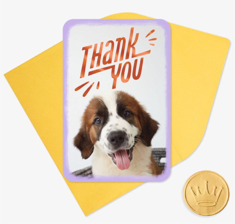 25" Mini Cute Puppy Thank You - Moscow Watchdog, transparent png download