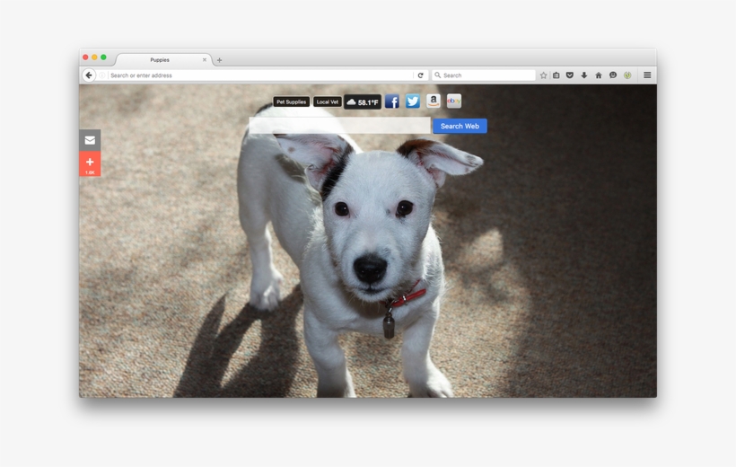 Puppies New Tabby Brand Thunder, Llc - Perros Yaruser, transparent png download