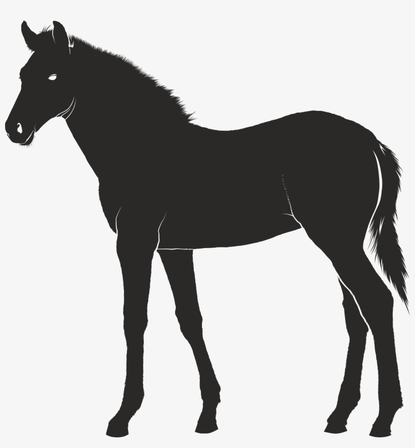 Free Clipart Of A Horse - French Mastiff Silhouette, transparent png download