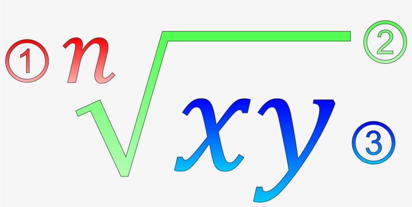 Structure Of A Root - Imagenes Png De Algebra, transparent png download