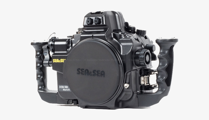 Canon Eos 5d Mark Iv Png File - Canon 5d Mk4, transparent png download