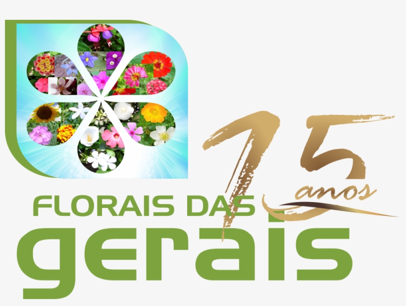 Florais Das Gerais - Orchid, transparent png download