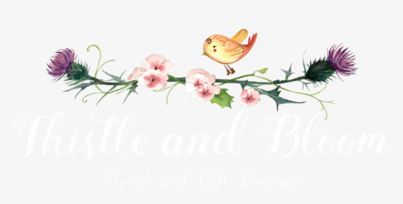 Thistle And Bloom - Garden Roses, transparent png download
