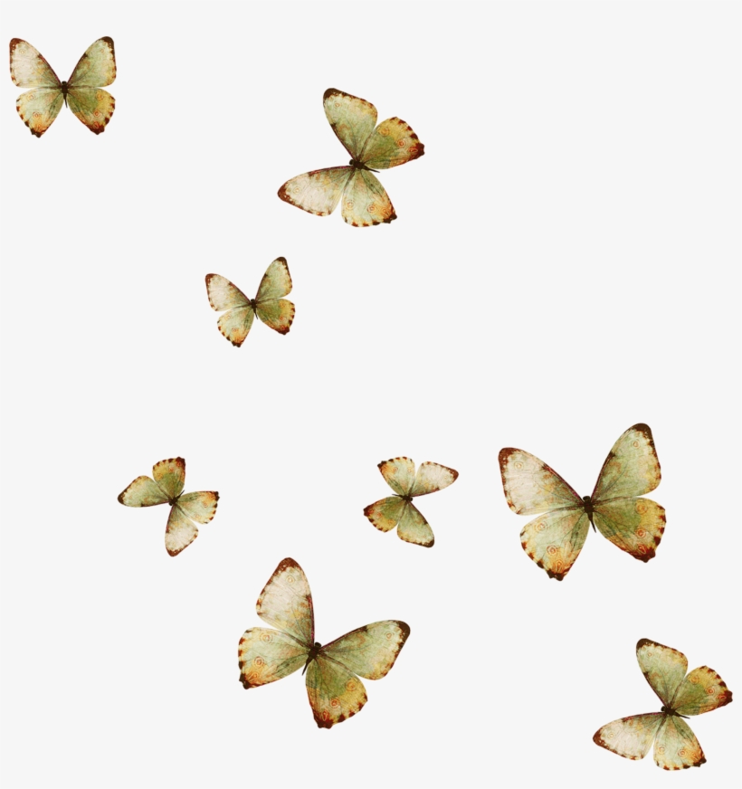 Yellow Butterfly Wallpaper - Muchas Mariposas Png, transparent png download