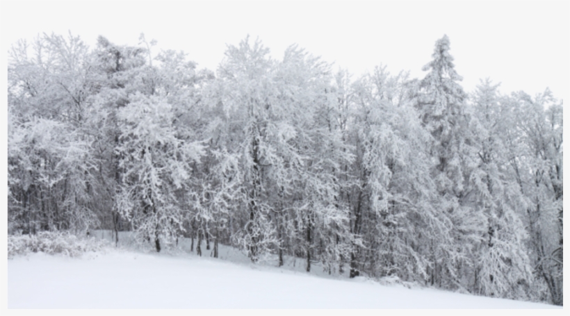 Legend Of Little Fur, transparent png download