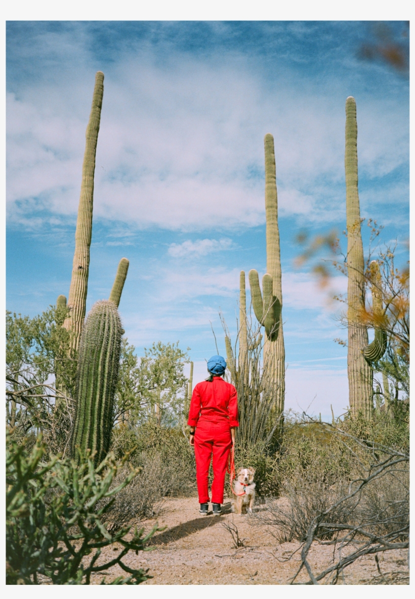 Film Photo Diary, transparent png download