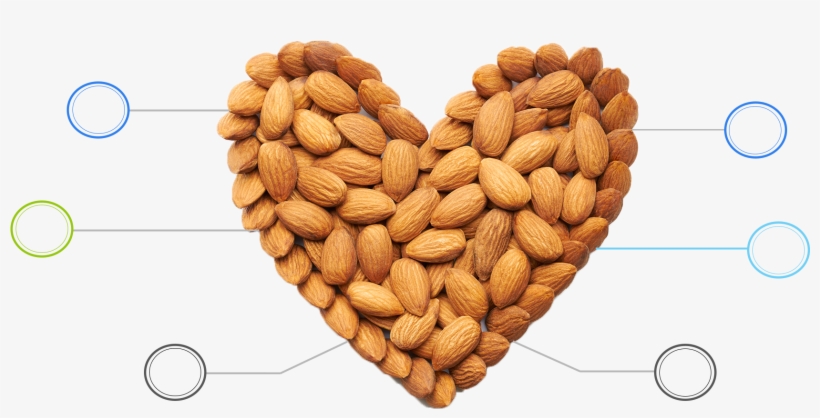Benefits Of Almonds - Almond, transparent png download