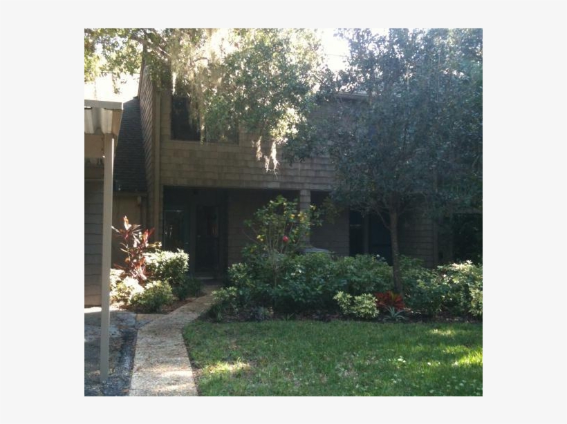 Sarasota Condo In Gated Community / Bird Sancturary/ - Backyard, transparent png download