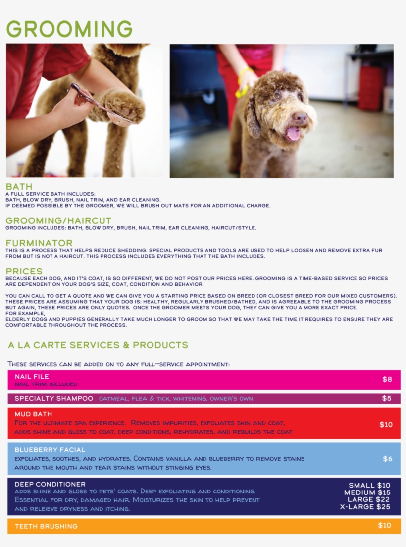 Web Grooming Page - Flyer, transparent png download