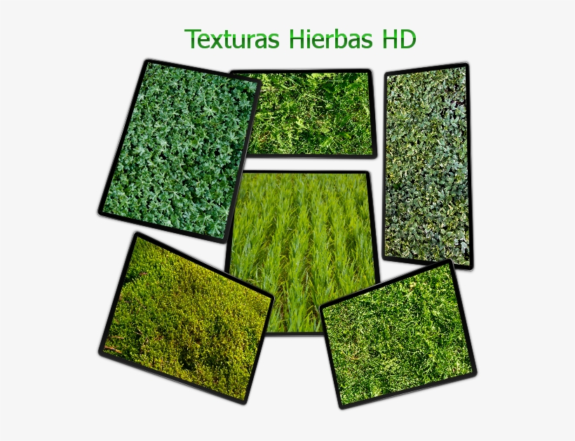 Contenido - - Nature Texture, transparent png download