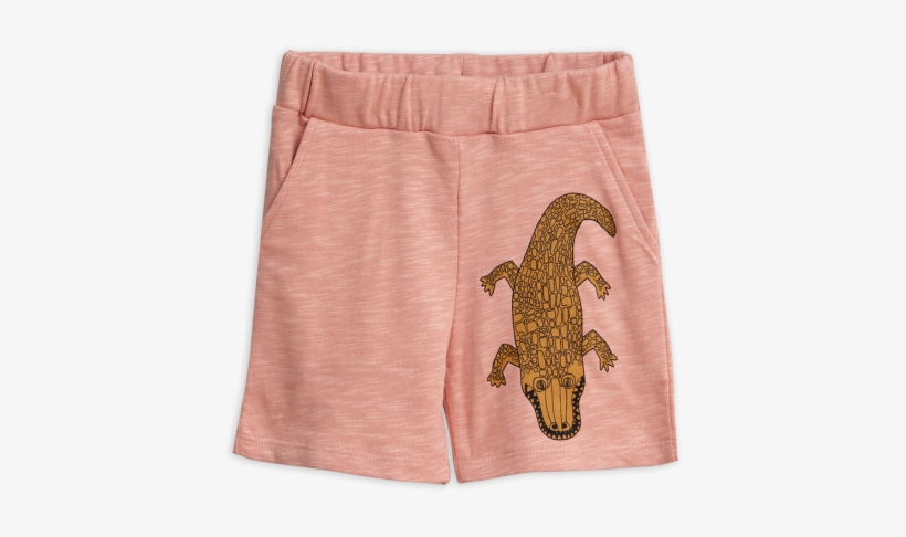 Crocodile, transparent png download