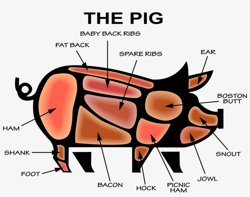 Big Image - Infographic Pig, transparent png download