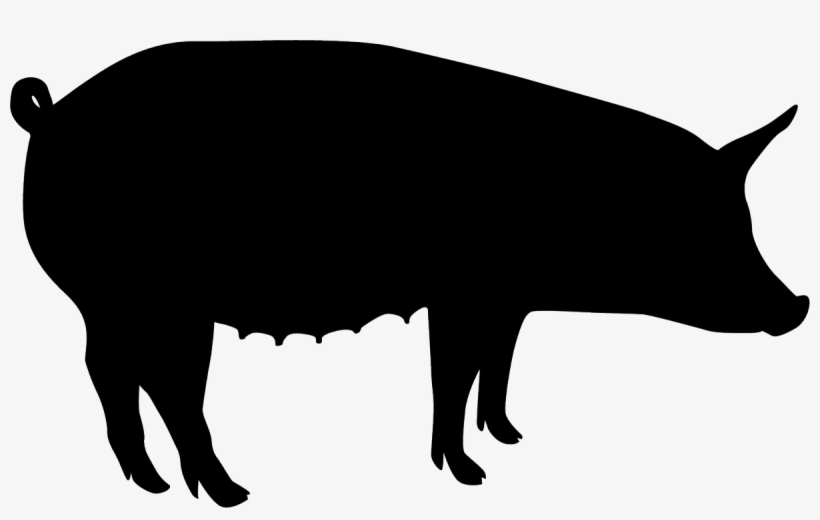 Pig Black Silhouette - Silhouette Of A Bison, transparent png download