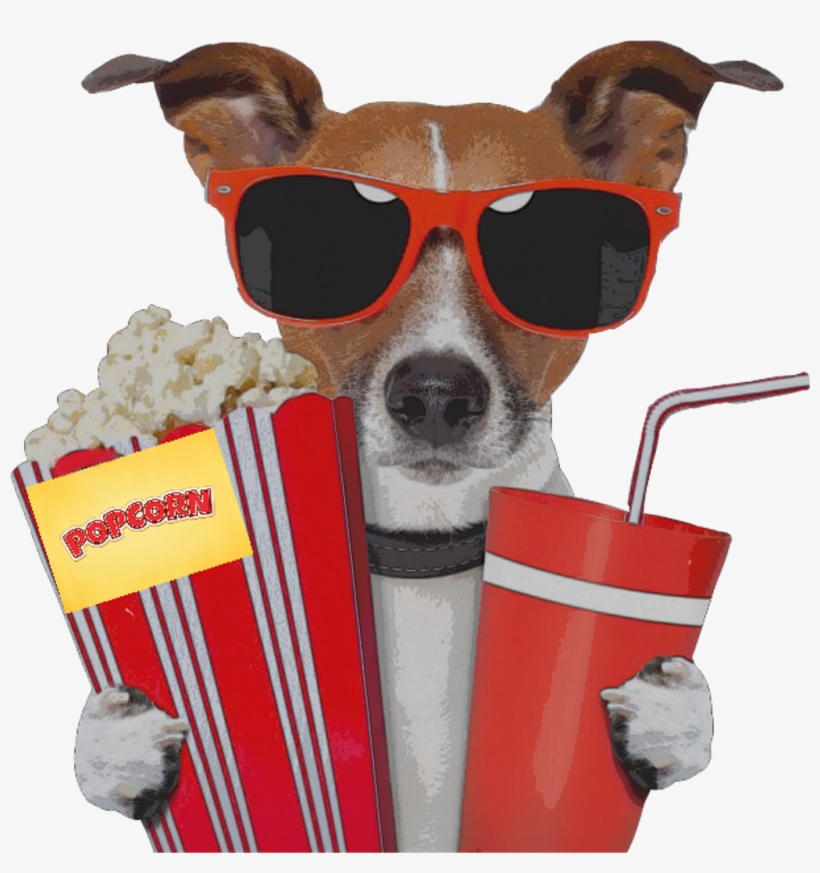 Dog Movie Sunglass Popcorn Movietheater Movietime Red - Chien A Lunette Humour, transparent png download
