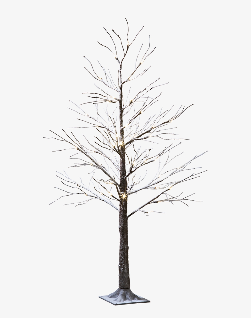 Led-tree Snowy - Pond Pine, transparent png download