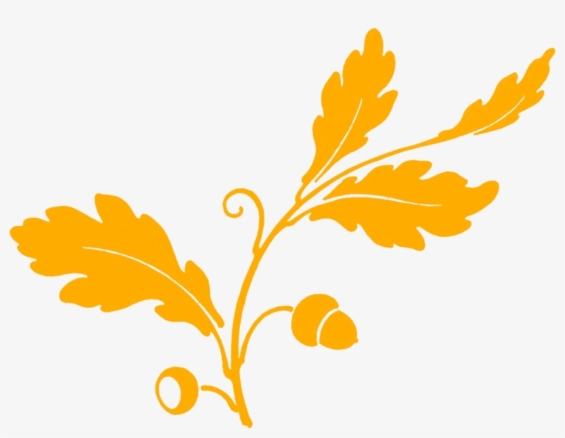 Leaves Oak Tree Silhouette, Silhouette Cameo, Oak Leaves, - Graphic Clipart, transparent png download