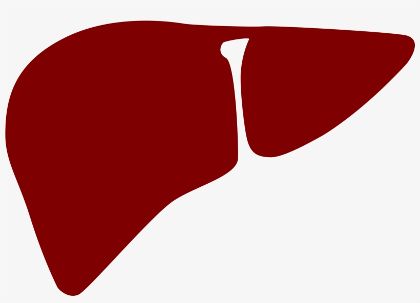 Open - Liver Png, transparent png download