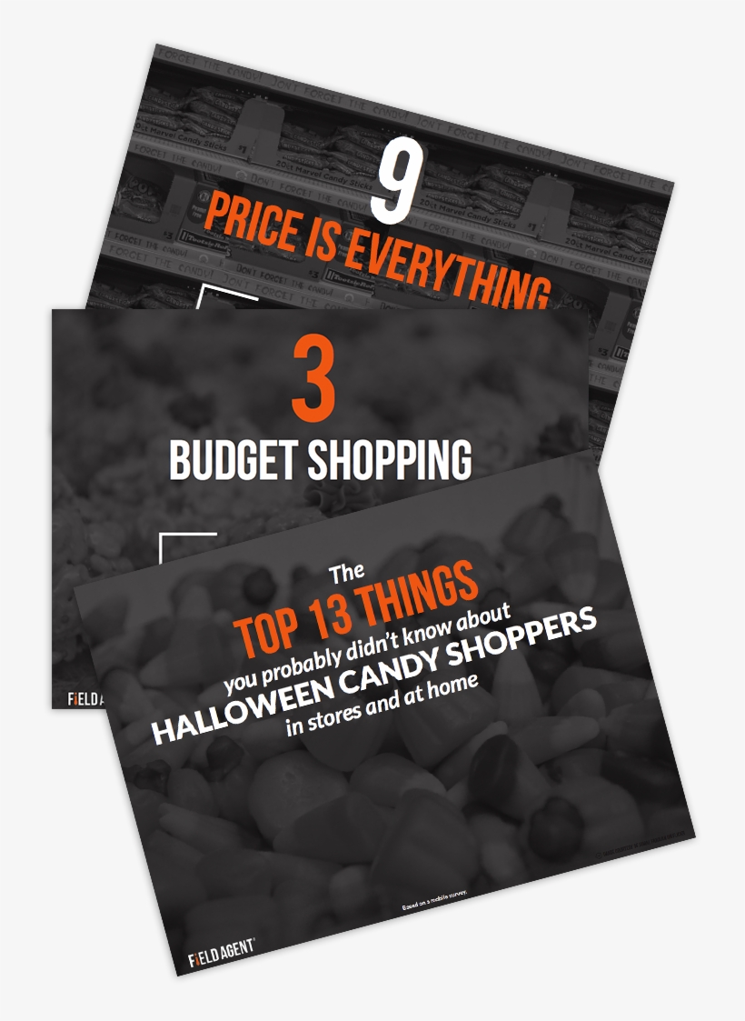 Field Agent Mobile Audit - Charlie Crist, transparent png download