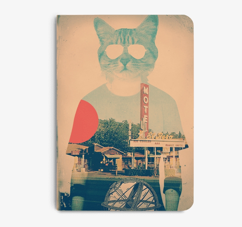 Dailyobjects Cool Cat A5 Notebook Plain Buy Online - Poster, transparent png download