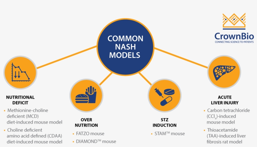 Diagram, transparent png download