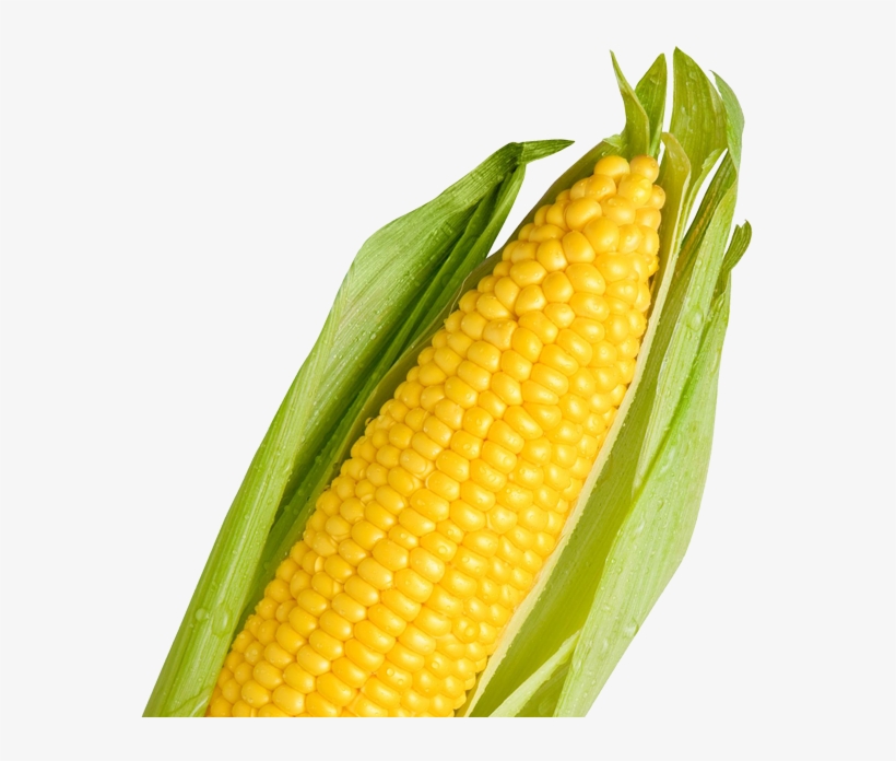 Mushroom Popcorn Also Makes For Much Better Throw Popcorn - Maize, transparent png download