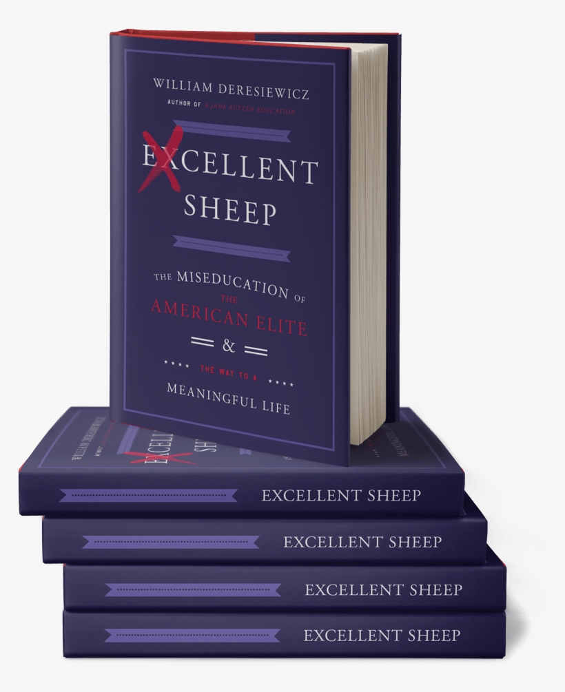 Book Promo Stack - Excellent Sheep, transparent png download
