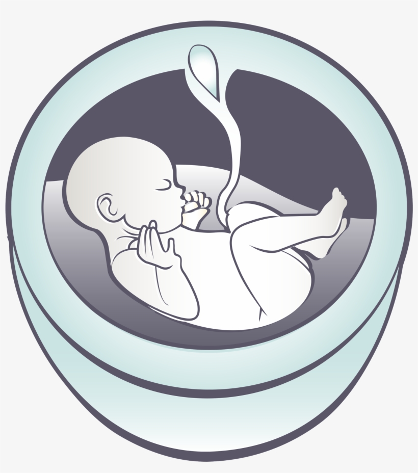 Welcome To The Online Website Of Comprehensive Maternal-fetal - Maternal Fetal Medicine, transparent png download