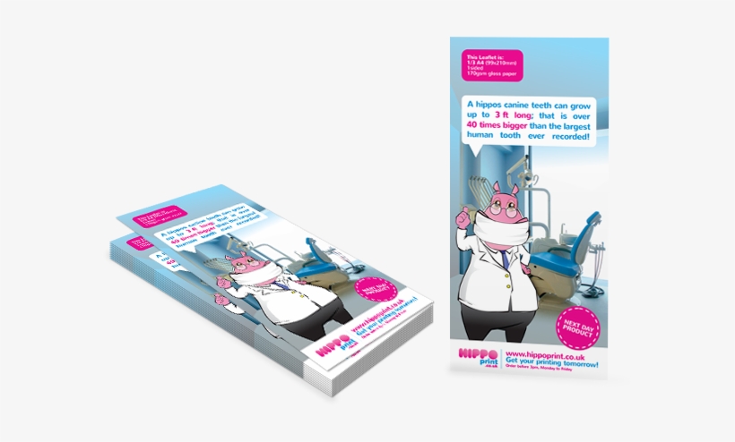 Next Day Leaflets Next Day Leaflets Next Day Leaflets - Flyer, transparent png download