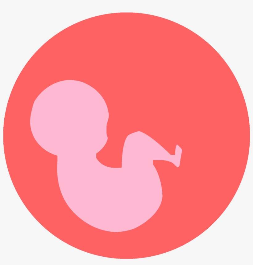 Maternal Malnutrition And Placental Defence And Transport - Gloucester Road Tube Station, transparent png download