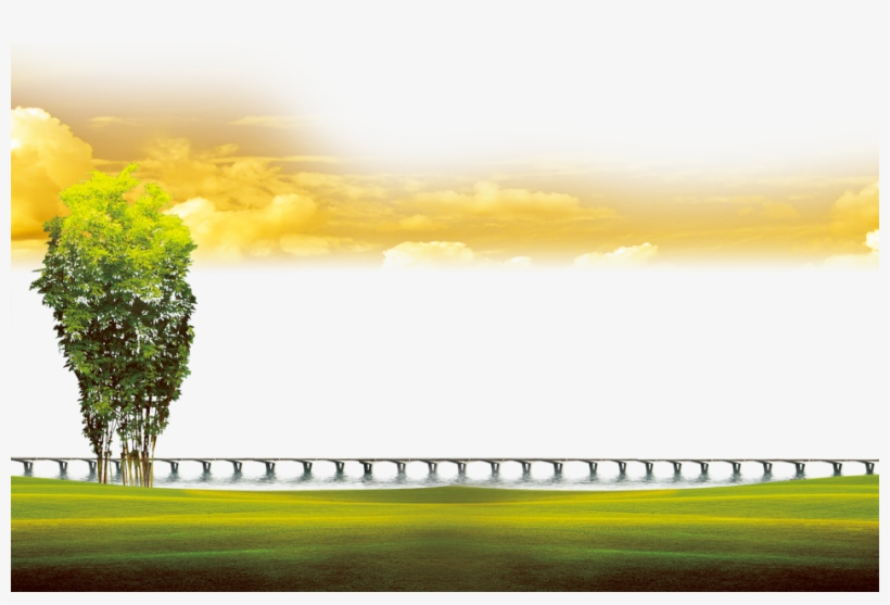 Wallpaper Green Transprent Png - Tree, transparent png download