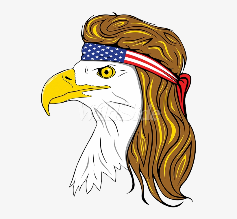 Bald Eagle, transparent png download