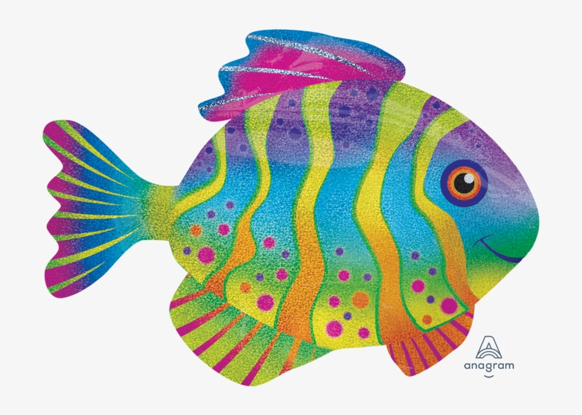 Price Discounts - Colourful Fish, transparent png download
