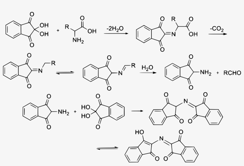 This Free Icons Png Design Of Ninhydrin Reaction Mechanism, transparent png download