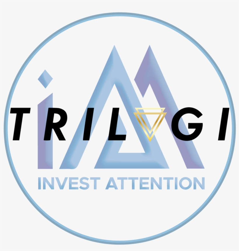 Trilogi & Invest Attention - Boykin Spaniel, transparent png download