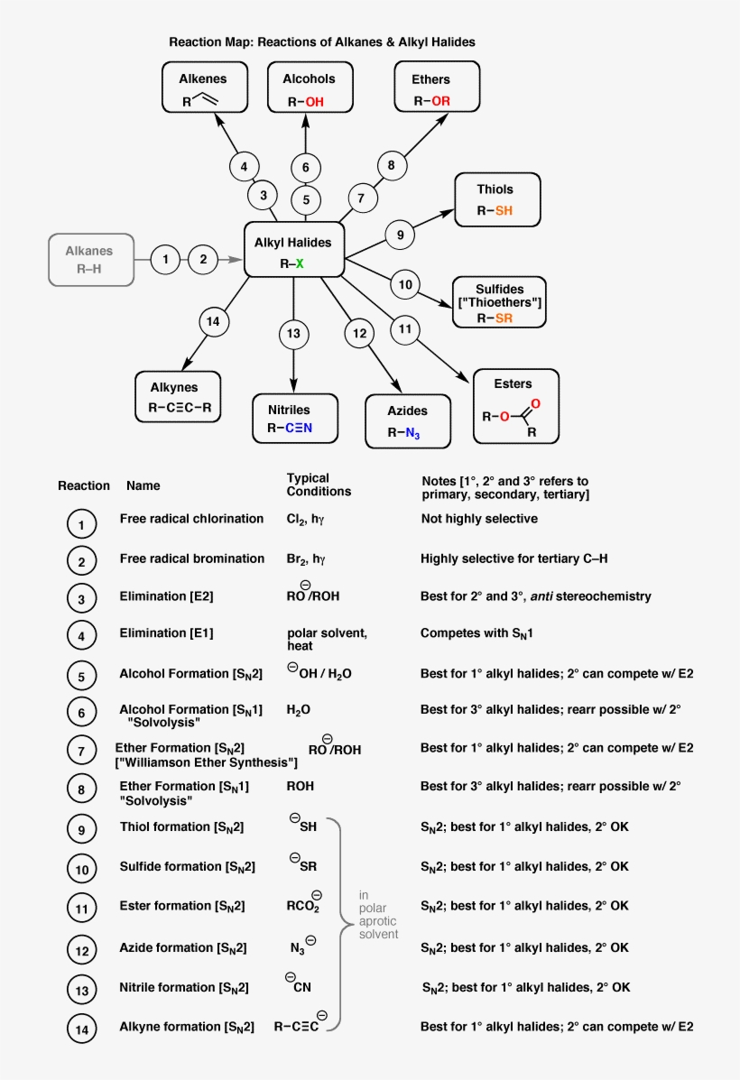 Shows The Different Reactions Of Alkanes And Alkyl Alkene And Alkyne