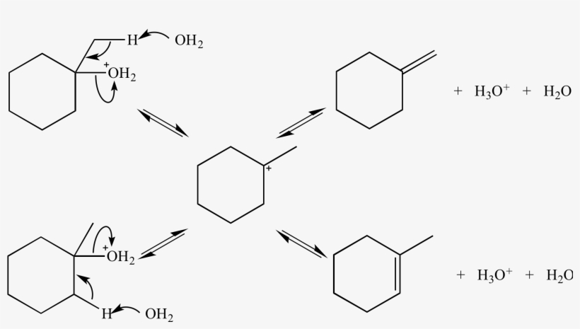 In This E1 Reaction The Alkene Products Are In Equilibrium - Diagram, transparent png download