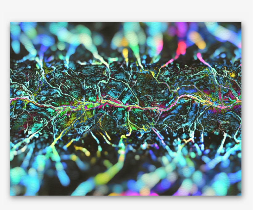 Ashampoo Snap 09 January 2019 15h39m39s - Macro Photography, transparent png download