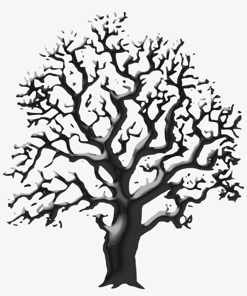 Big Image - Tree Drawing Black And White, transparent png download