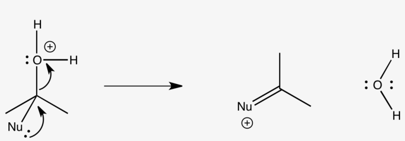 These Steps Occur Over And Over, Inching The Molecule, transparent png download