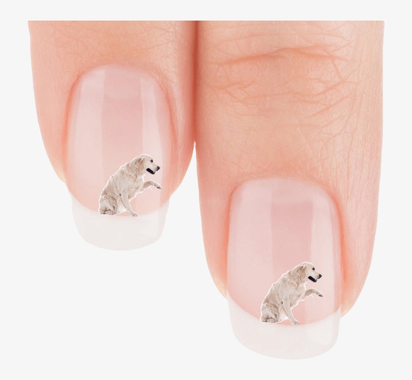 Golden Retriever Wanna Shake Nail Art Decals Patch - Nail Polish, transparent png download