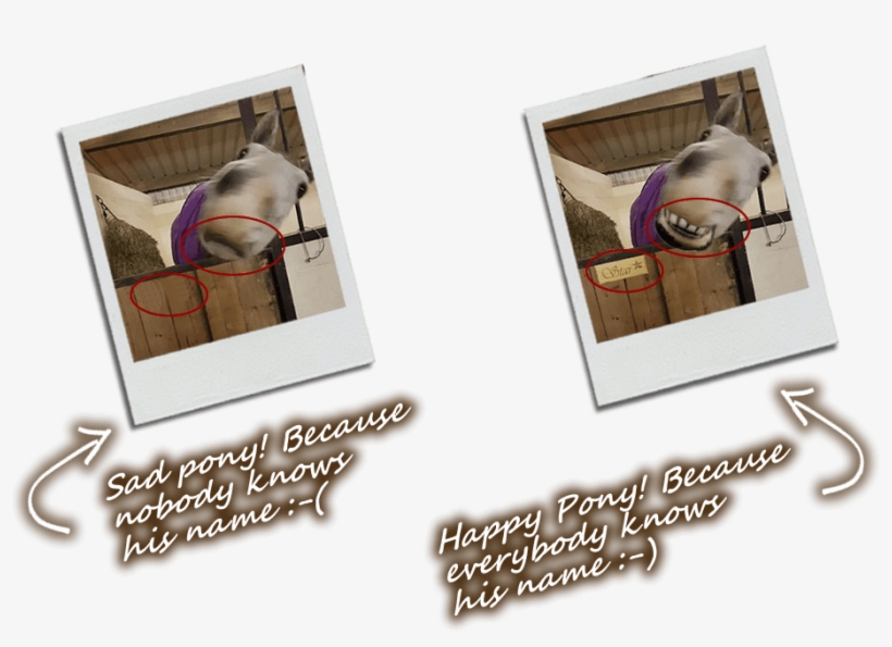Horse Without Stable Name Plate & Horse With Stable - Picture Frame, transparent png download