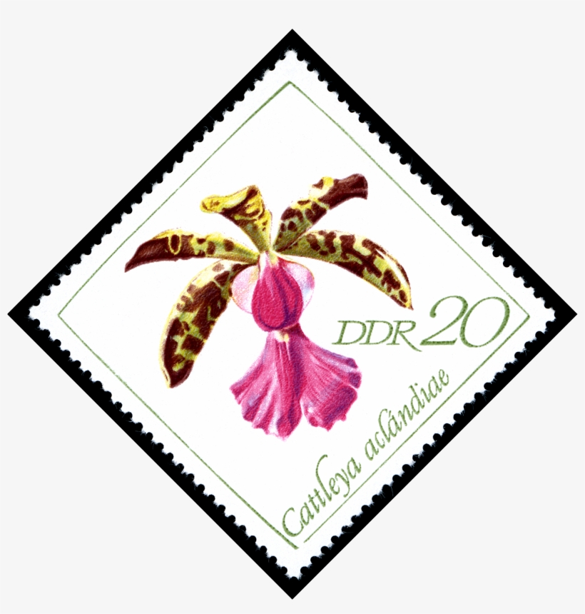 Stamps Of Germany 1968, Minr 1423 - Sbeitla, transparent png download