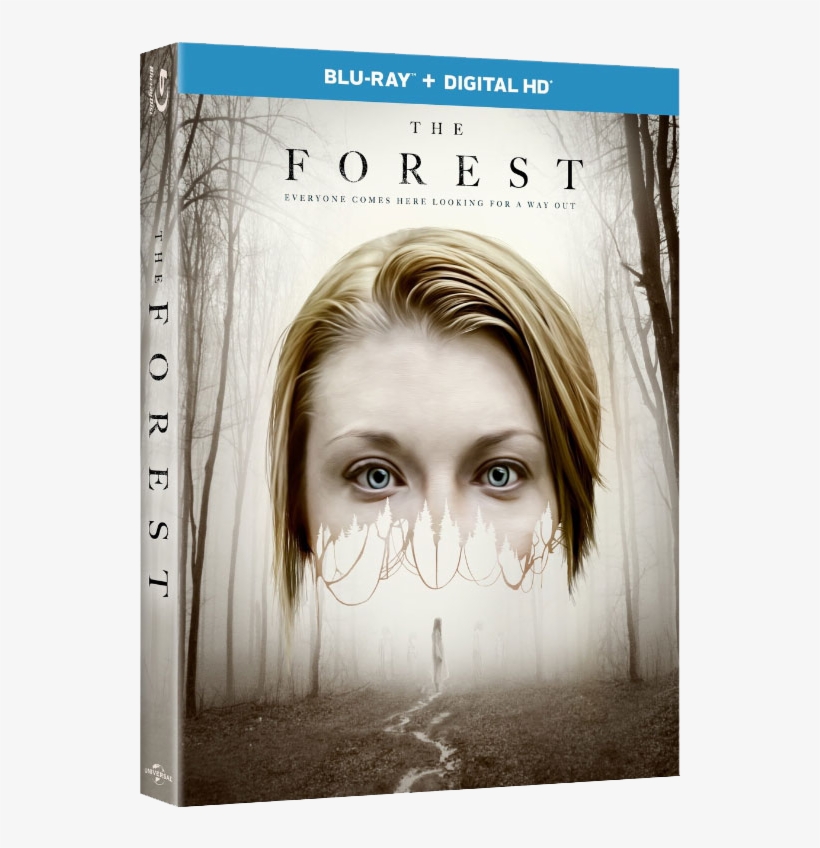 Blu Ray Review - Into The Forest 2015 Bluray, transparent png download