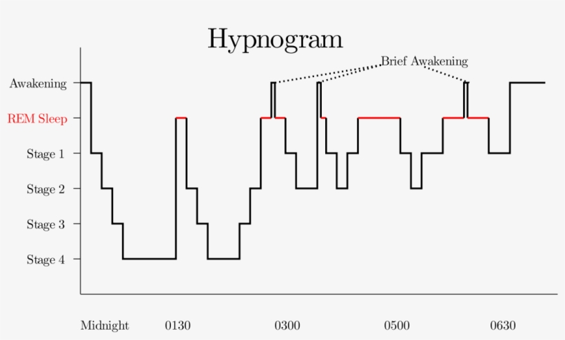 Diagram, transparent png download