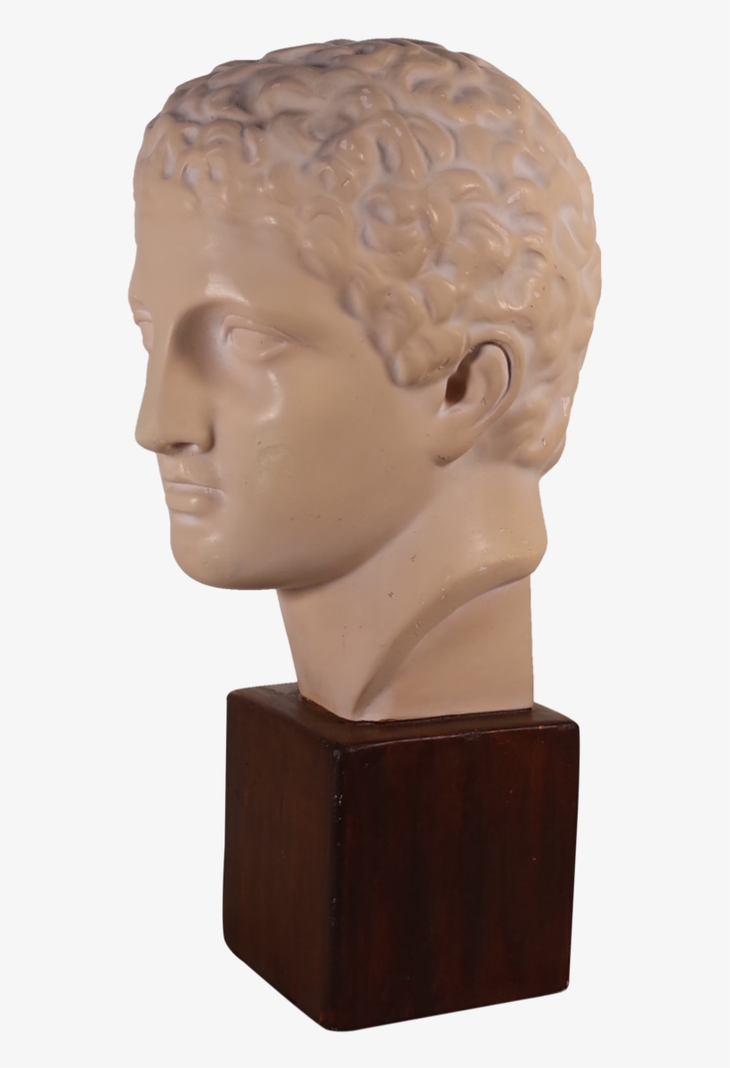 Plaster Bust Of Roman Male - Bust, transparent png download