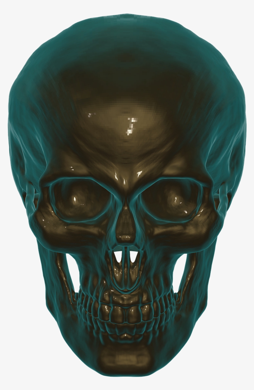 Skull, Anatomy, Skull And Crossbones, Human, Head, - Skull, transparent png download